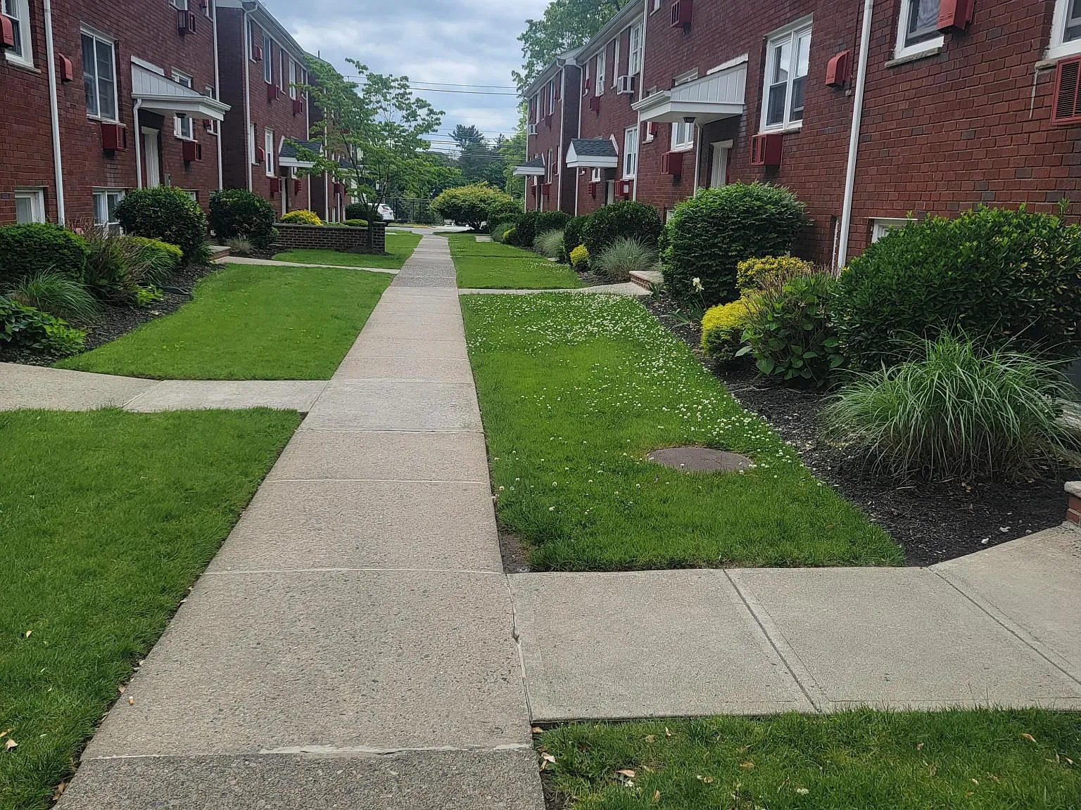 1 bed, 592 sqft, $1,500 — Photo 1