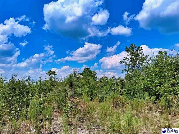 5th image of 1767 Short Rd