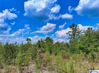 1767 Short Rd, Wallace, SC 29596
