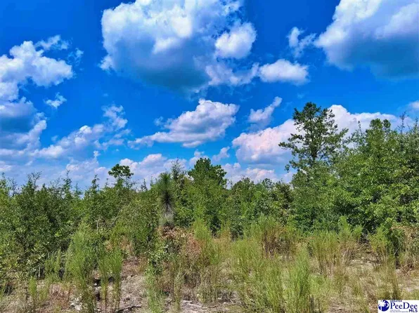1767 Short Rd, Wallace, SC 29596