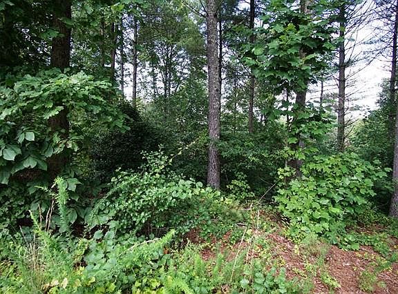 3rd image of 4002 Nesting Ln NW #33
