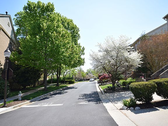 3rd image of 10910 Bloomingdale Dr