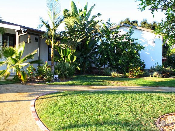 Front yard