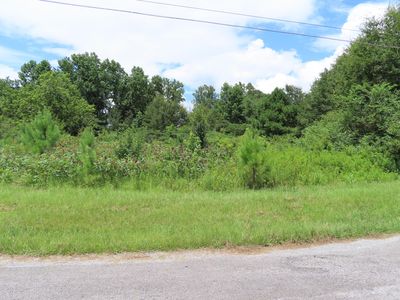 German Rd, Nauvoo, AL, 35578