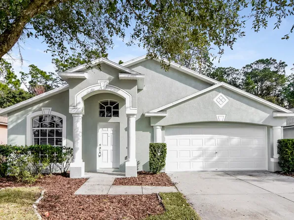 6410 Buckhead Ct, Wesley Chapel, FL 33545