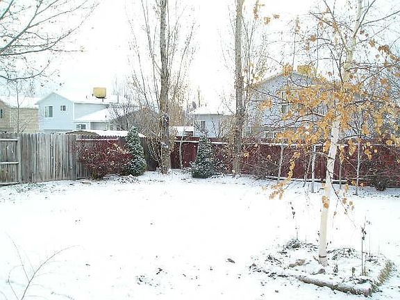 Rear yard