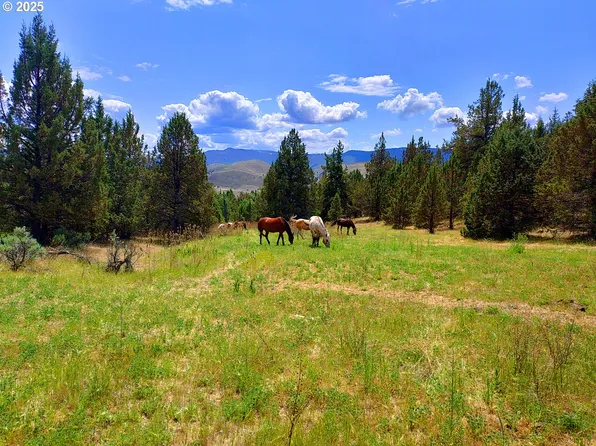 Wiley Creek Rd, Dayville, OR 97825