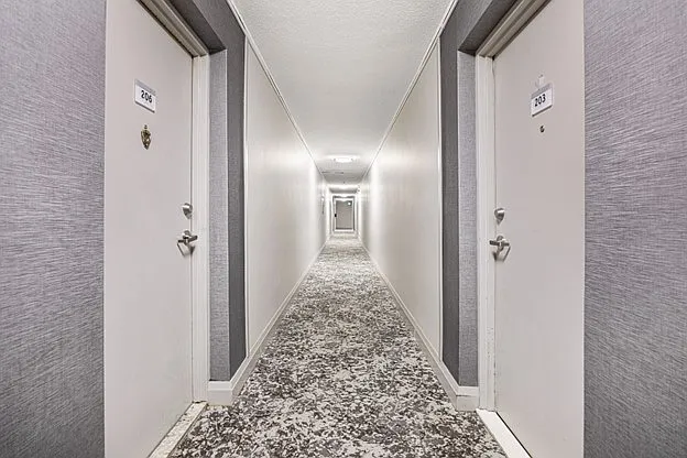 7 Albert St #303 photo 1