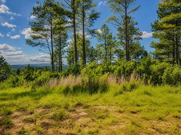 LOT 62 Seven Mile Creek Rd, Talking Rock, GA 30175