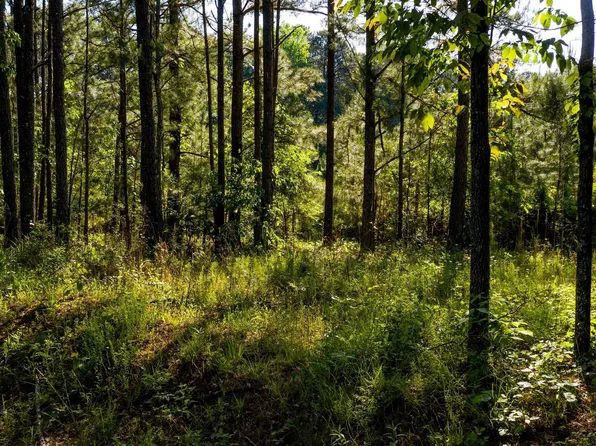 0 Morgan Mill Rd #4, Senoia, GA 30276