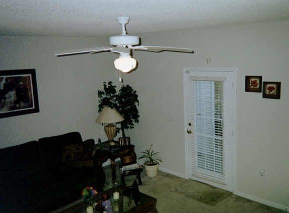 Open family room w/ ceiling fan and rear patio access