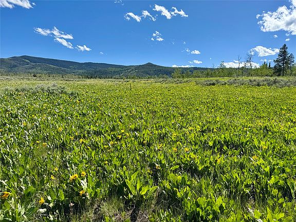3rd image of TBD Whiffle Tree Trail