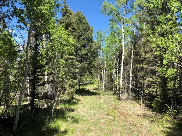 77 Timberline Court, Guffey, CO 80820