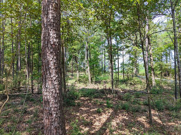 4th image of Pid 28447 Tall Pines Dr