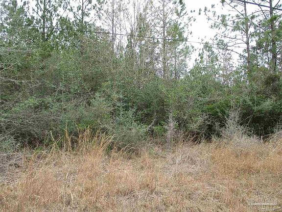 3rd image of 20 Acres Shady Hollow Dr