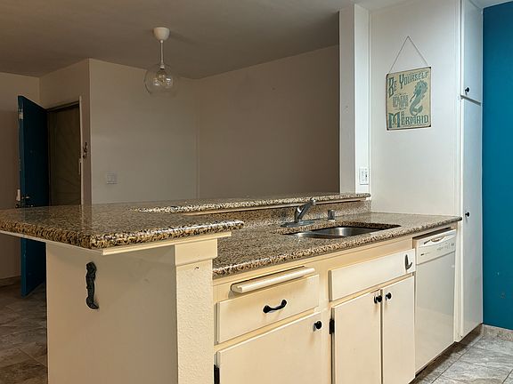 Kitchen and Dishwasher