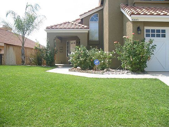 front yard