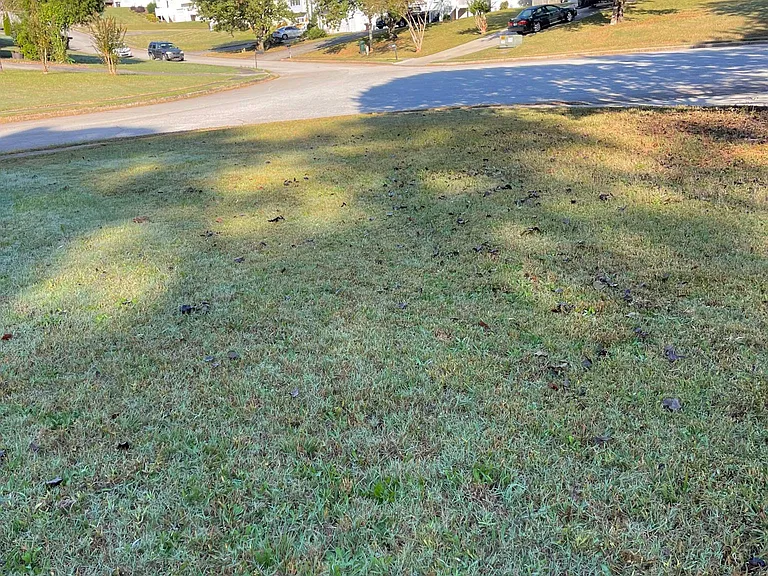 6286 Wellington Ct — Photo 15