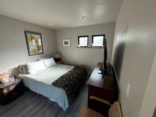 1 bed, 650 sqft, $2,950 — Photo 4