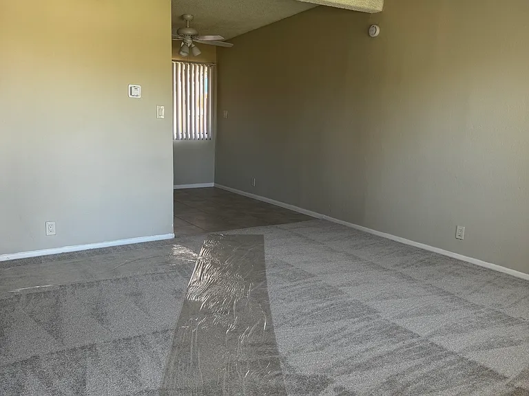 233 Oasis Dr — Photo 10