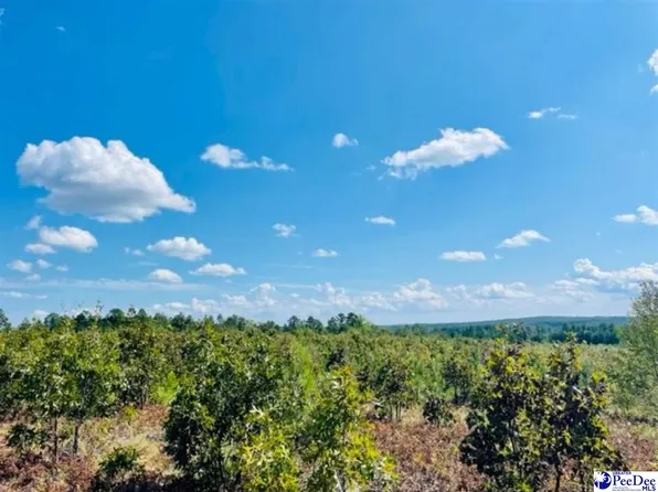 Gun O Field Rd, Wallace, SC 29596