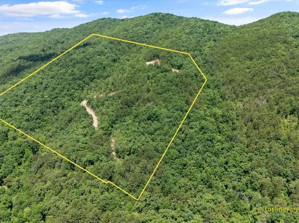 216 Old Cove Rd, Walland, TN 37886