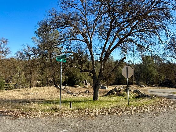 4th image of 4541 Little Buck Rd