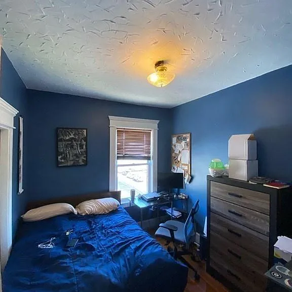 4 Adamson St #4 — Photo 8