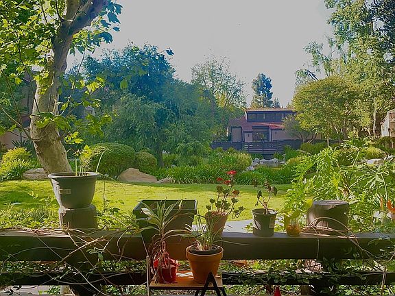 View from First Floor's Patio: facing pond and garden
