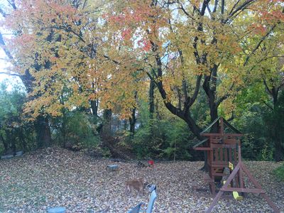 4317 Mount Vernon Ave, Brookhaven, PA, 19015