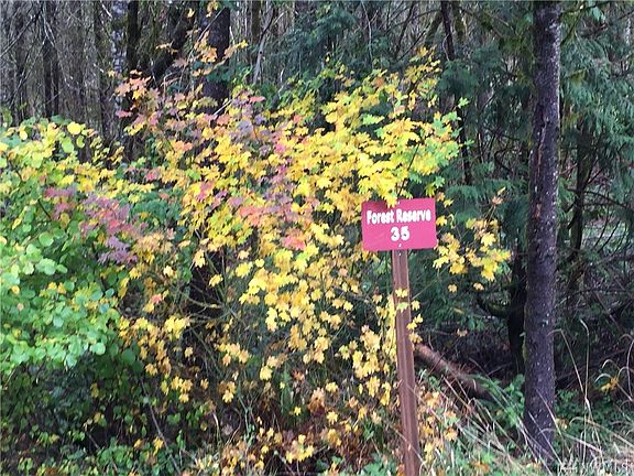 3rd image of 0 Starflower Lot 35