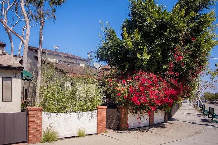 539 Venice Way — Photo 1