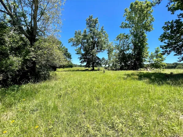 490 Vz County Road 4928 Tract #2, Ben Wheeler, TX 75754