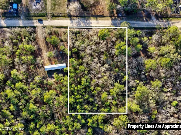 10250 ZIGLER Avenue, Hastings, FL 32145