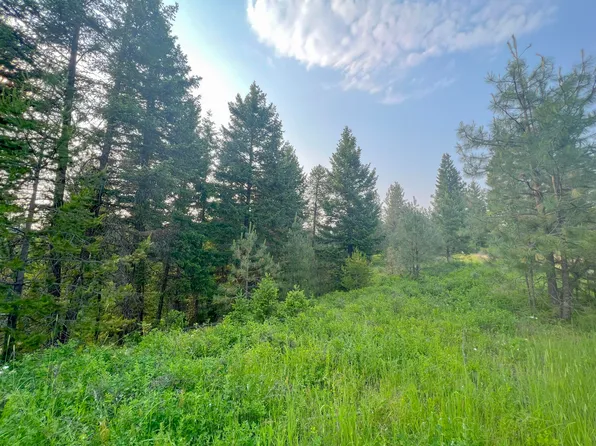 5174 Goah Way, Springdale, WA 99173