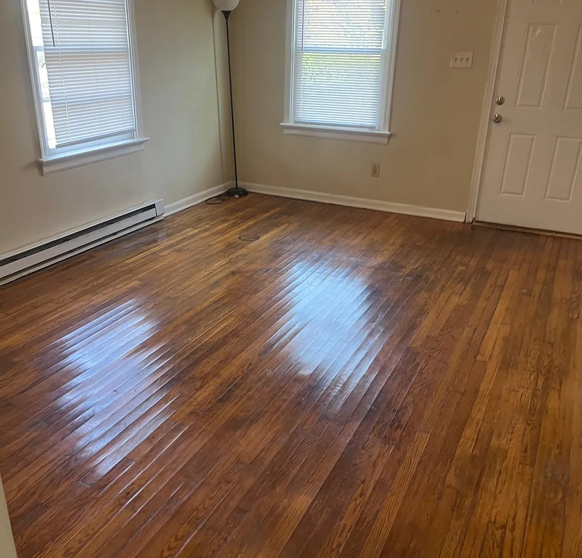 3 bed, 924 sqft, $2,200 — Photo 2