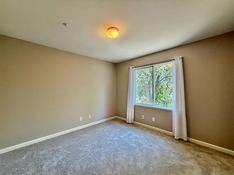 5 Blackberry Dr — Photo 20