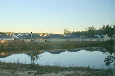 View from back porch.
