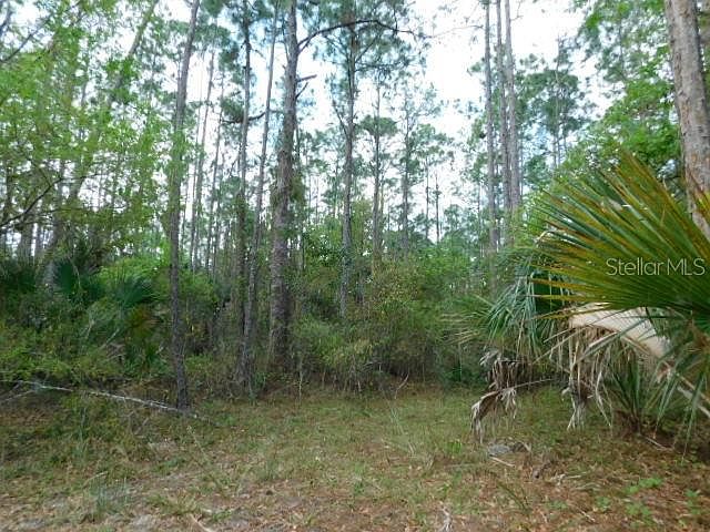 1st image of 1121 Poinciana Dr