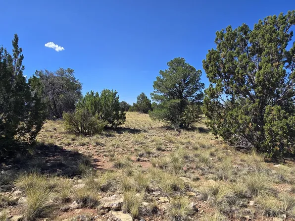 3810 E Wingfield Rd, Williams, AZ 86046