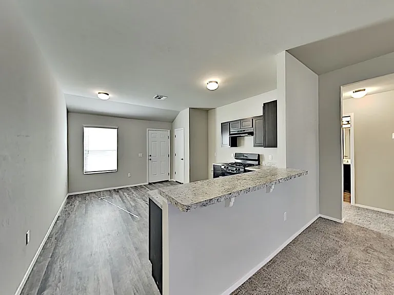 1845 Jack Rabbit Ln — Photo 8