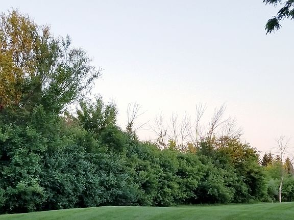 West side of lot 94 Old Lake