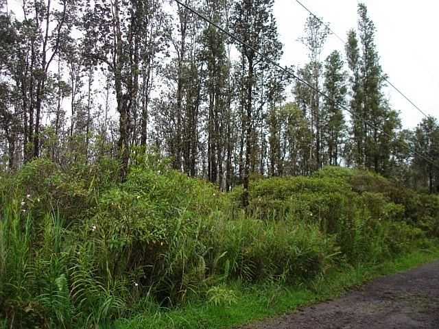 2nd image of Road 7 Opeapea Lot 4702
