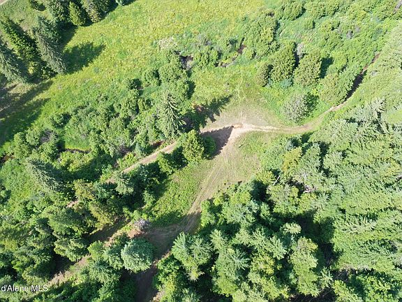 4th image of 2319 Thorn Creek Rd
