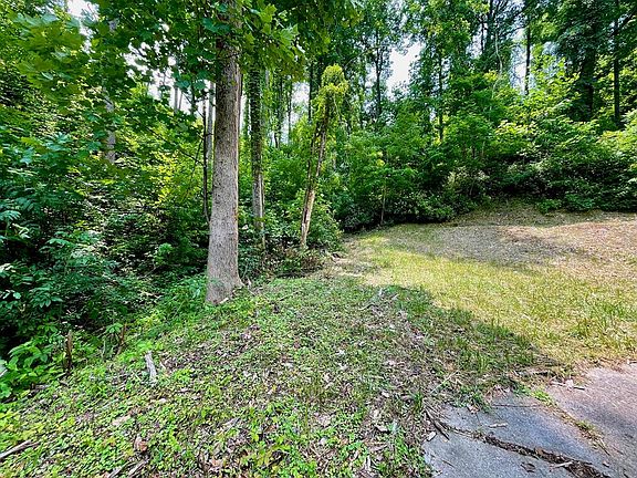 5th image of 544 Wiley Oakley Dr