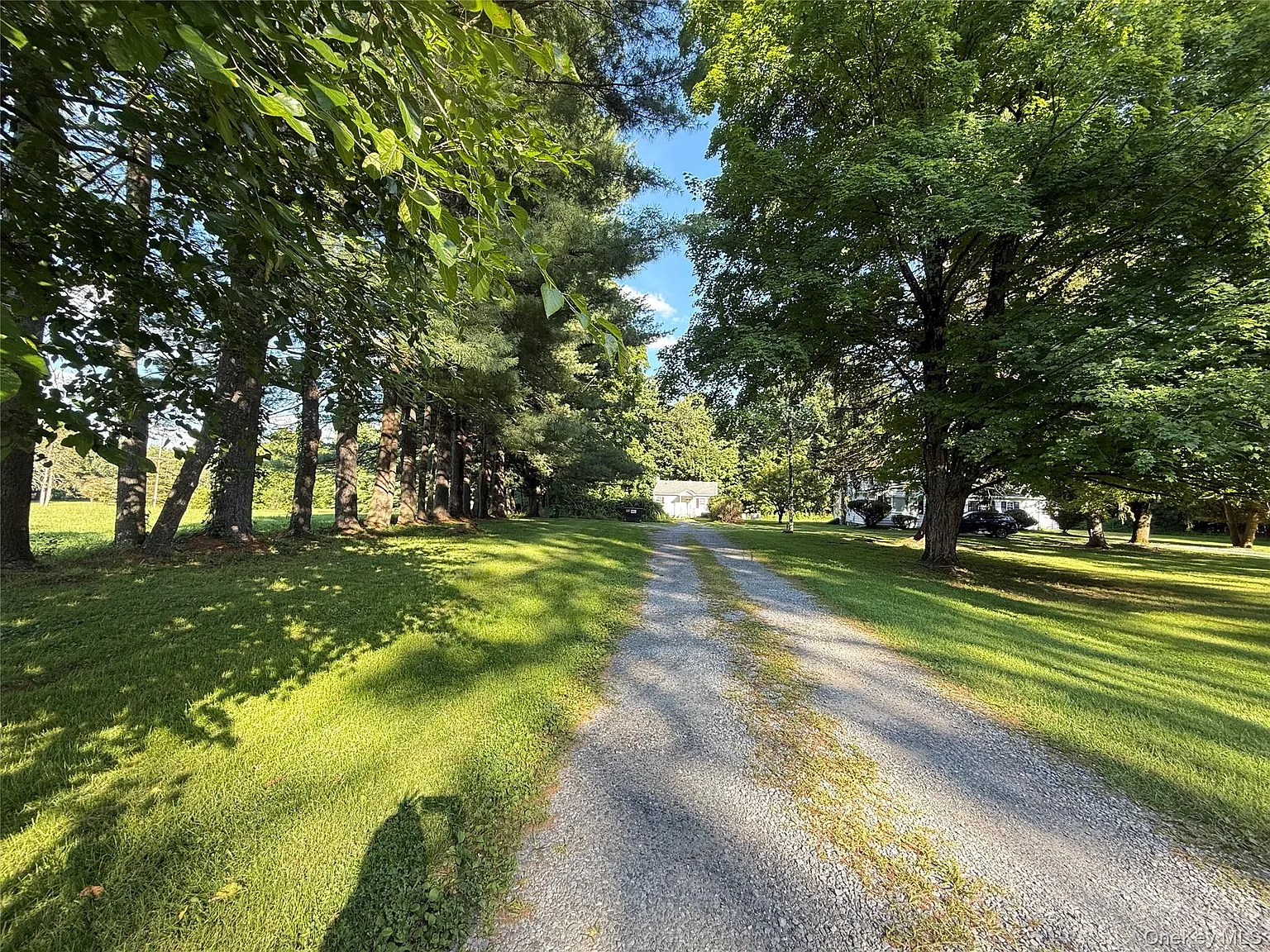 2 bed, 1.0 bath, 800 sqft, $2,200 — Photo 4