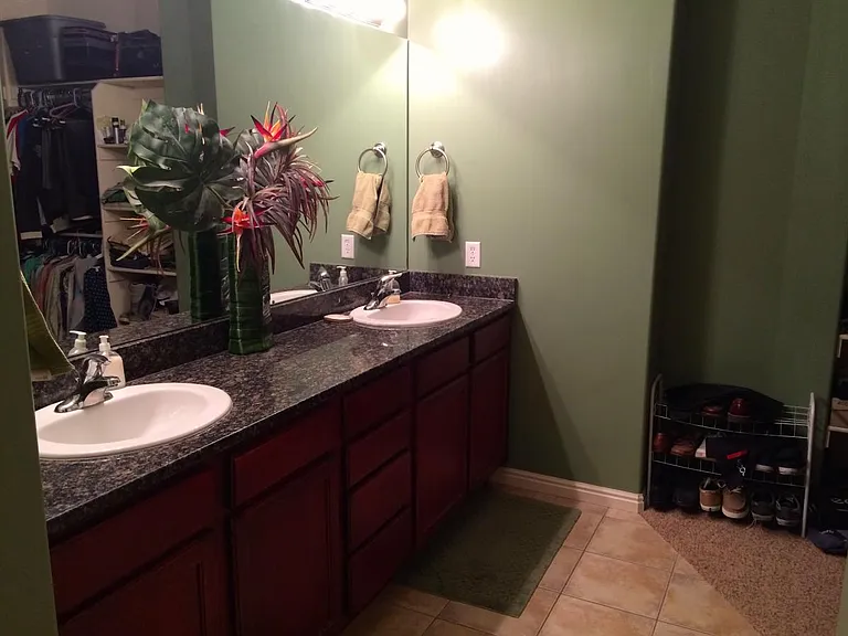 Double sink in master bath