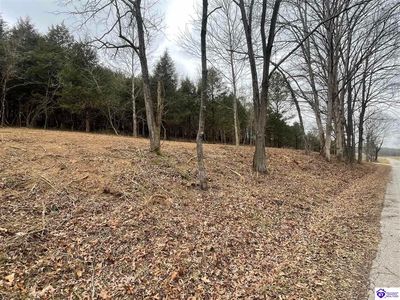 LOT 4A Concord Church Rd, Bonnieville, KY, 42713