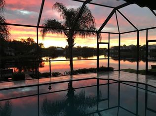 18018 JAVA ISLE DRIVE, TAMPA, FL 33647