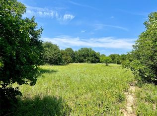 1033 Leo Ln, Poolville, TX 76487